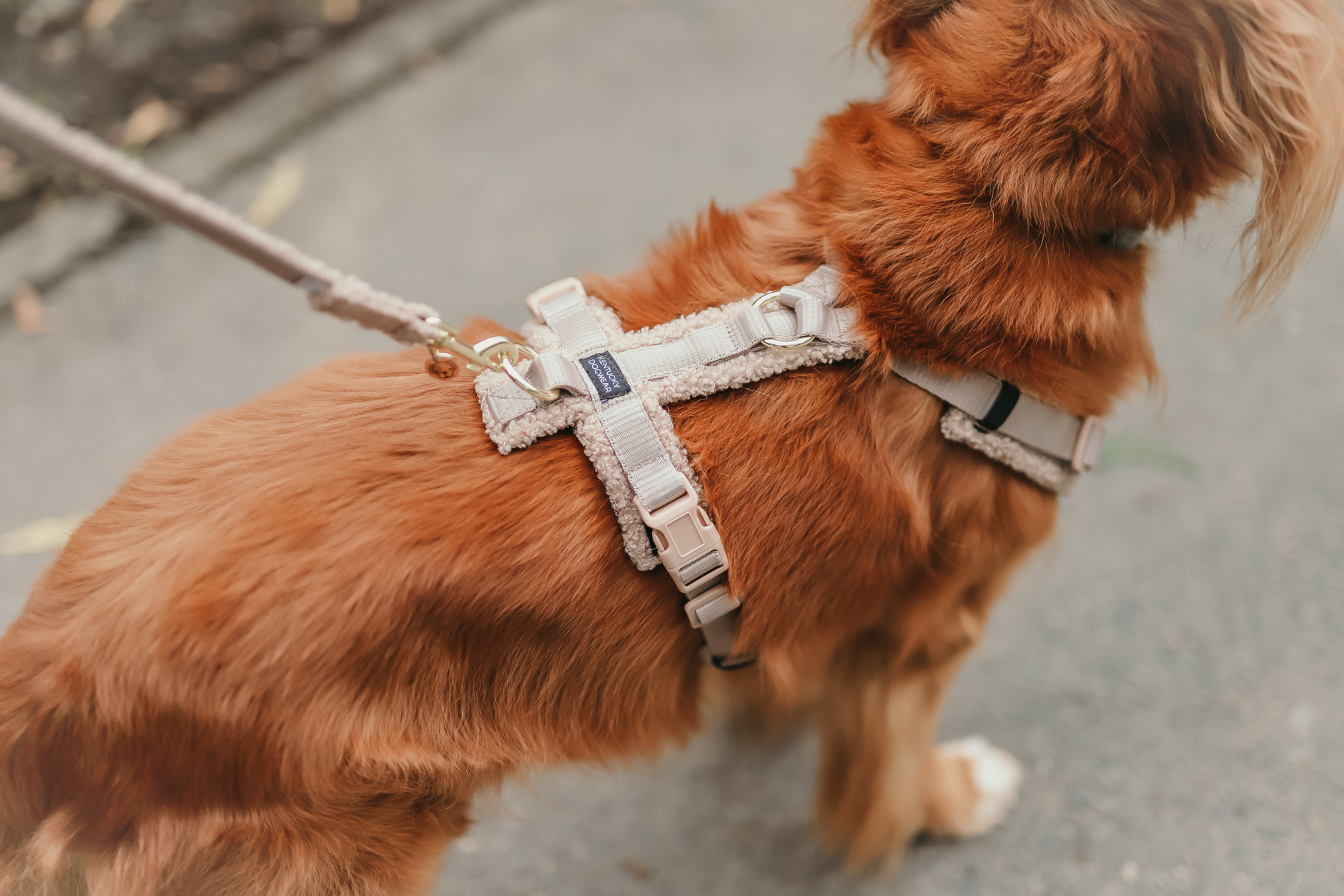 85E71FD3-100F-488A-8F8E-E29A1529