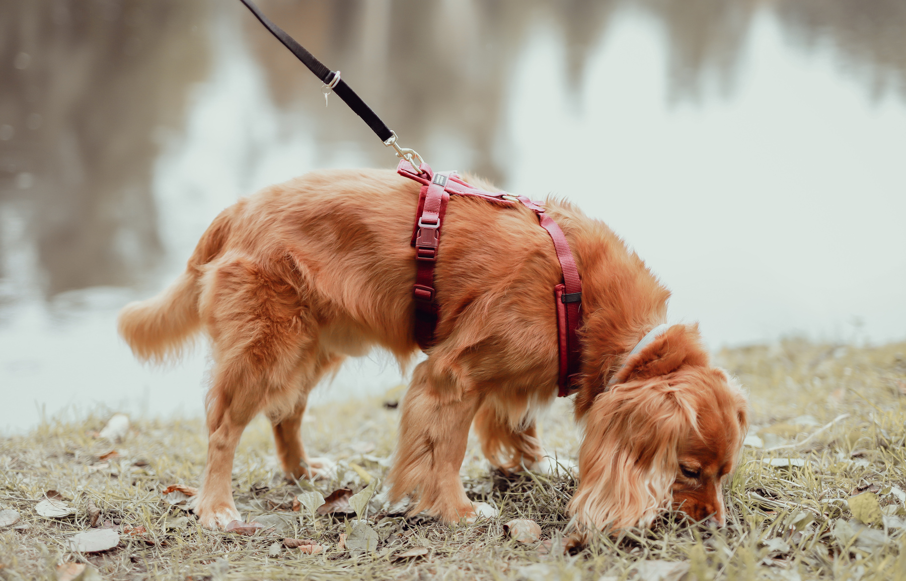 E08938CD-0B8A-4CE2-AA0D-11439679