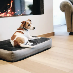 Legowisko Soft Pillow