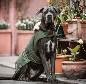 Derka przeciwdeszczowa 300g