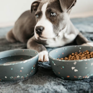 Miska bambusowa Terrazzo