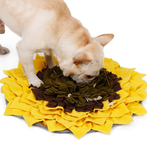 Mata węchowa Sunflower