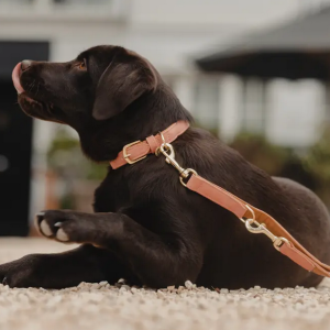 Obroża Vegan Leather