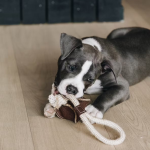 Ekologiczna zabawka z liny i zamszową piłką