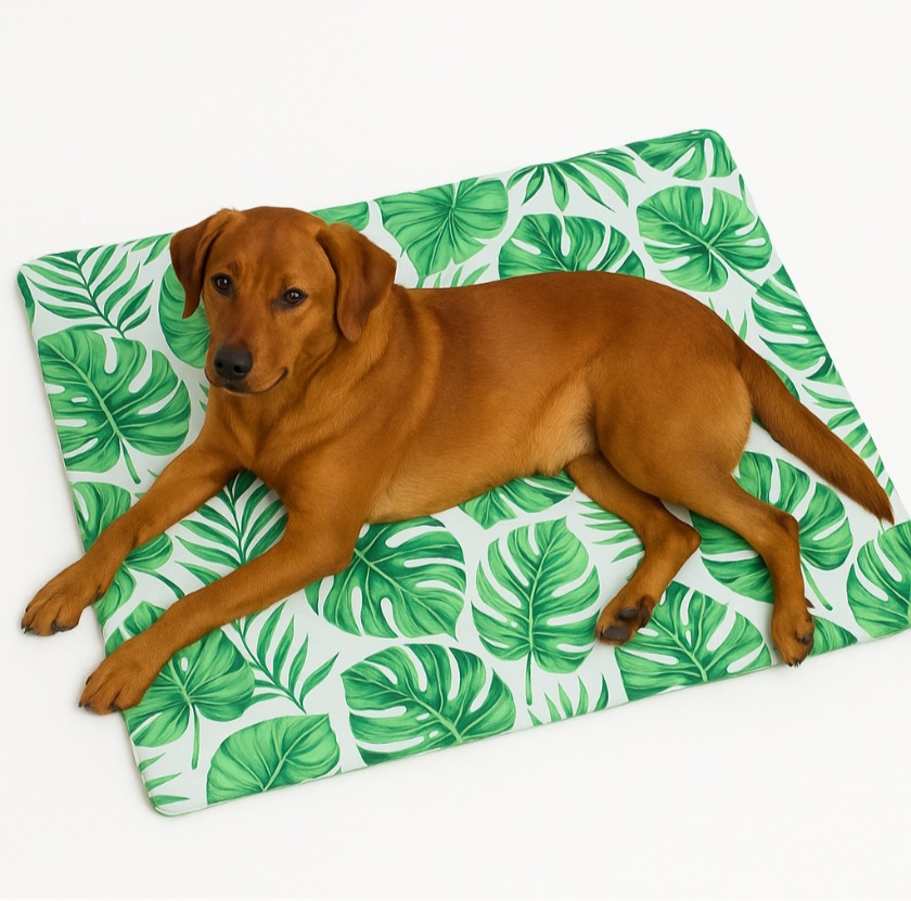 Mata chłodząca dla psa